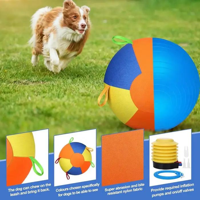 Ballon de dressage pour chiens