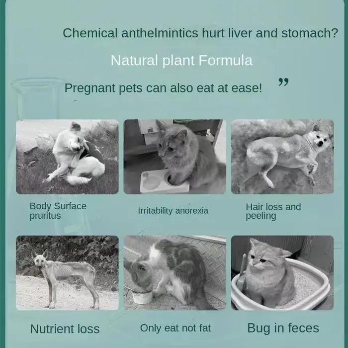50g pour la déformation des chats, des chiens et des animaux de compagnie, des nematodes, des verset