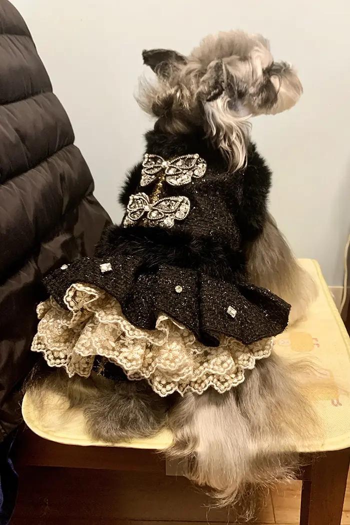 Robe de chien papillon noire élégante faite à la main avec biscuits