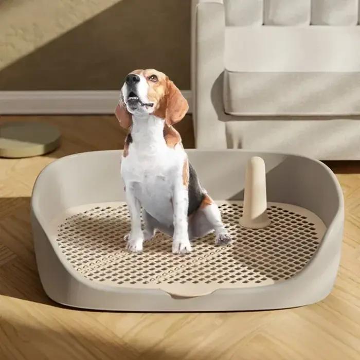 Bac à litière portable pour chien