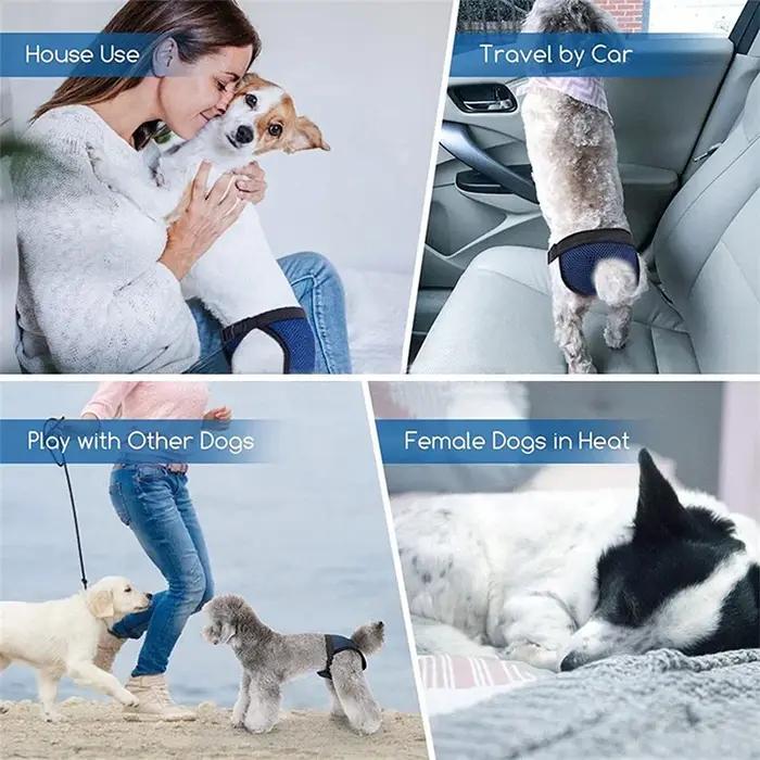 Couches-culottes pour chien femelle hygiéniques avec serviettes cautérisantes pour saignement physiologique et prévention des infections chez les chiens masculins enveloppes lavables