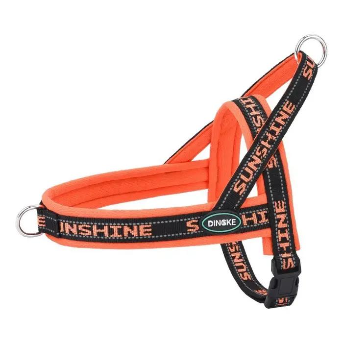Harnais de promenade pour chien