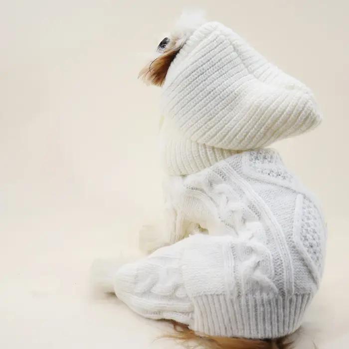 Chapeau en laine pour petit chien