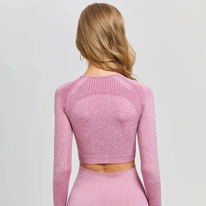 Haut court sans couture à manches longues pour femmes, haut de sport, vêtements de yoga, t-shirts de