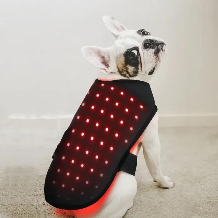 Appareil de physiothérapie à LED à lumière rouge pour animaux de compagnie, soulagement de la douleu