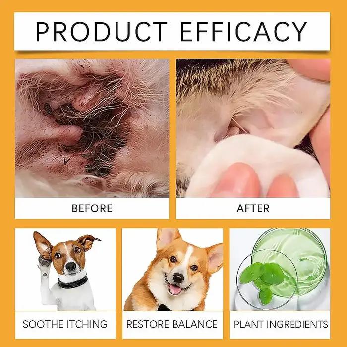 Solution nettoyante pour les oreilles des chiens contre les infections à levures