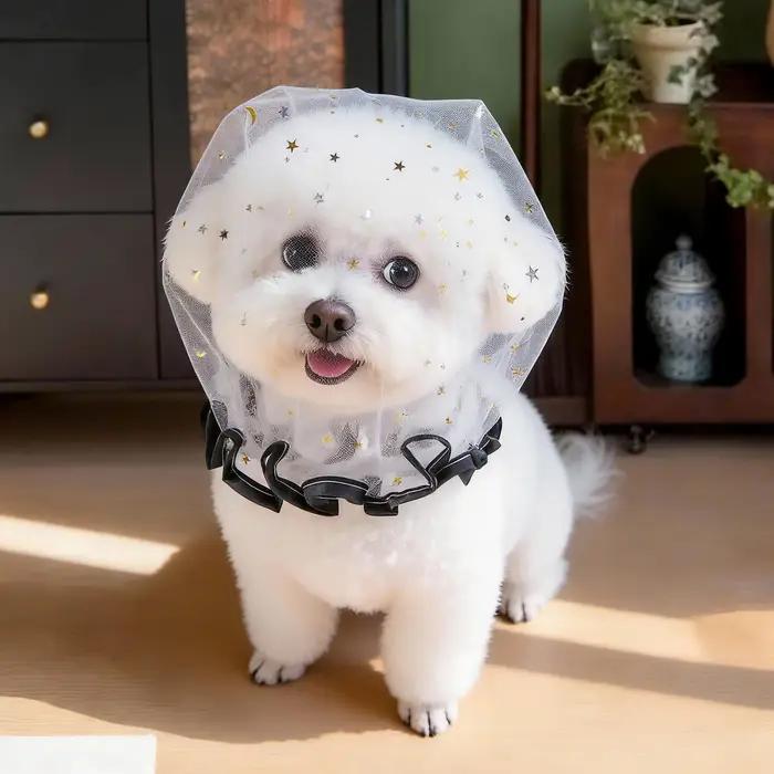 Accessoire de mode en maille pour chiens anti-mastication respirant pour promenade en extérieur