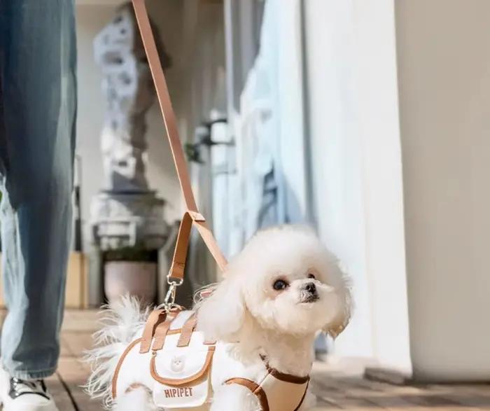 Sac à dos de traction multifonctionnel et respirant pour chien