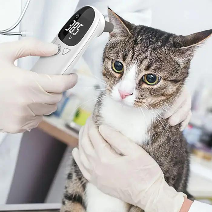 Thermomètres pour animaux de compagnie pour chiens, thermomètres vétérinaires, dispositif précis de détection de la fièvre pour animaux de compagnie, fournitures pour animaux de compagnie, thermomètre