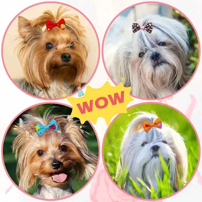 Nœuds pour poils de petits chiens et chats
