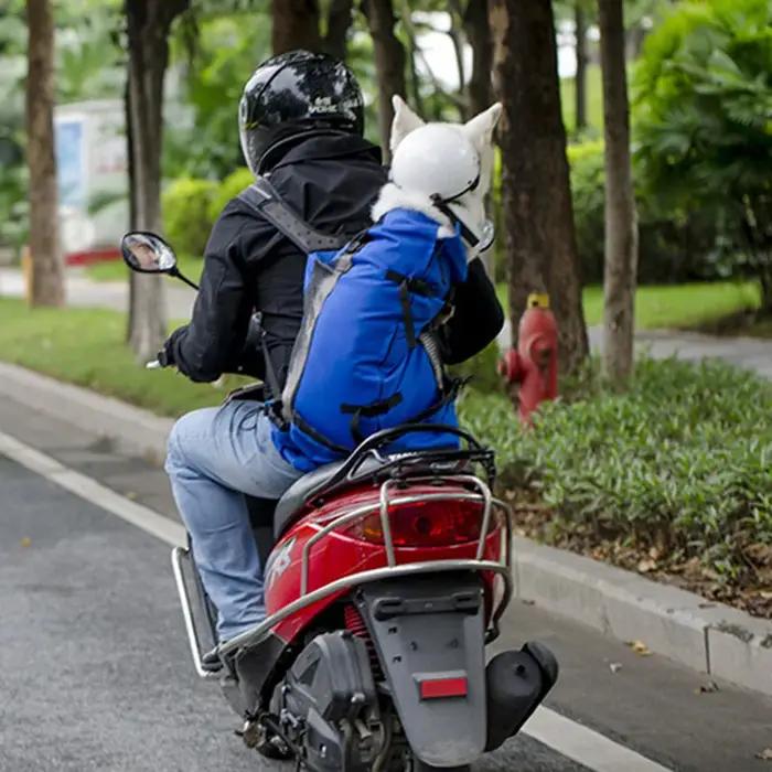 Sac à dos de transport pour chiens en polyester respirant, sac de randonnée pour promenade, sac de vélo pour animaux de compagnie, sac de voyage pour chiens de petite et moyenne taille, sac de plein air pour chiens et chats