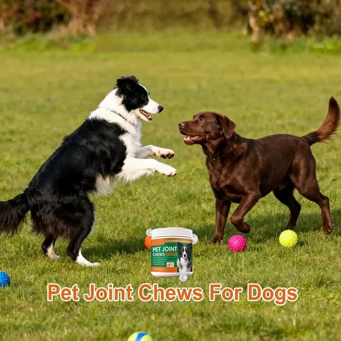 Complément Articulaire pour Chiens Comprimés à Croquer Naturellement Sains Soins Quotidiens Hanches et Articulations Occasions Spéciales