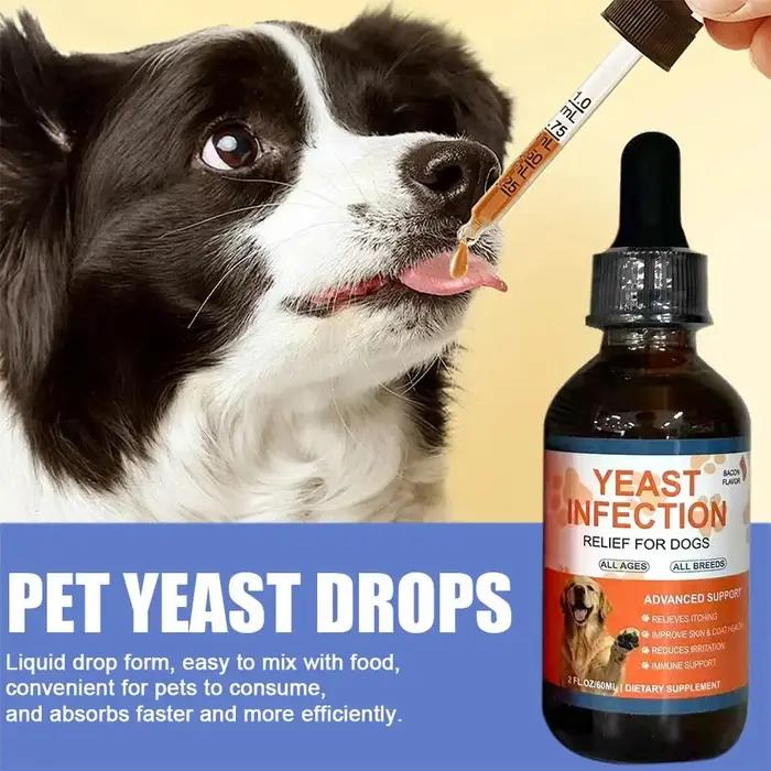 Gouttes liquides de 60 ml pour chiens et chats contre les infections à levures – Complément pour la santé intestinale