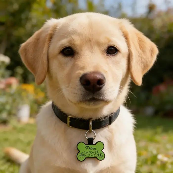 Étiquette d'identification personnalisée pour chiens et chats