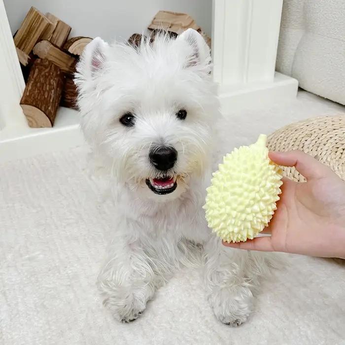 Jouet pour chien en forme de durian