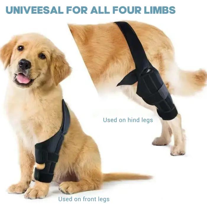 Genouillère pour chien pour jambe déchirée, Support solide, attelle pour jambes arrière et avant