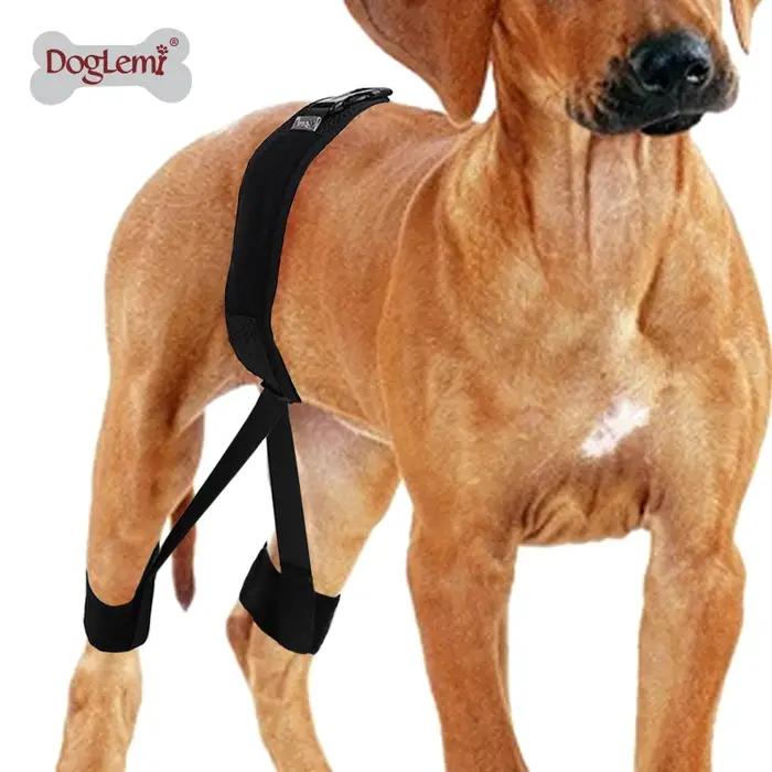 Bande orthopédique de récupération de haute qualité pour pattes arrière de chiens