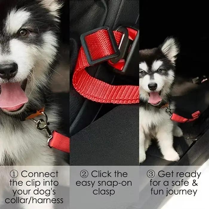 Ceinture de sécurité rétractable pour voiture pour animaux de compagnie