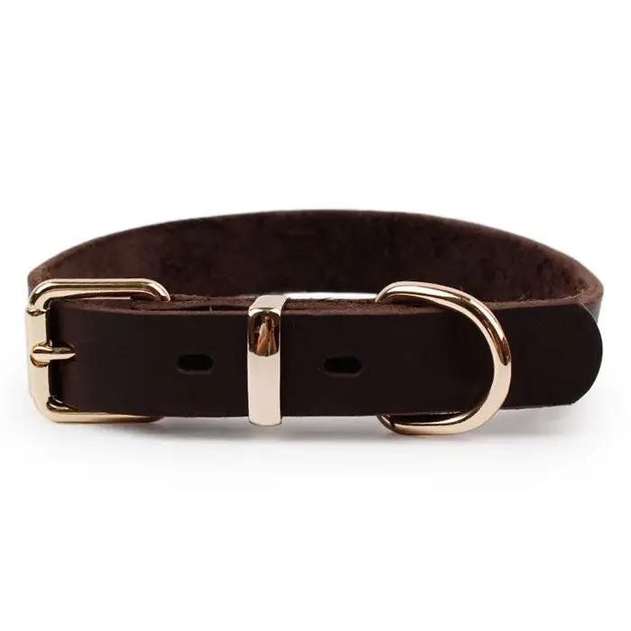 Collier pour chien robuste et classique