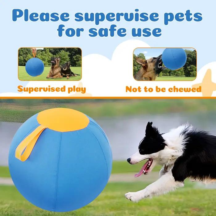 Balle gonflable d'extérieur pour chiens