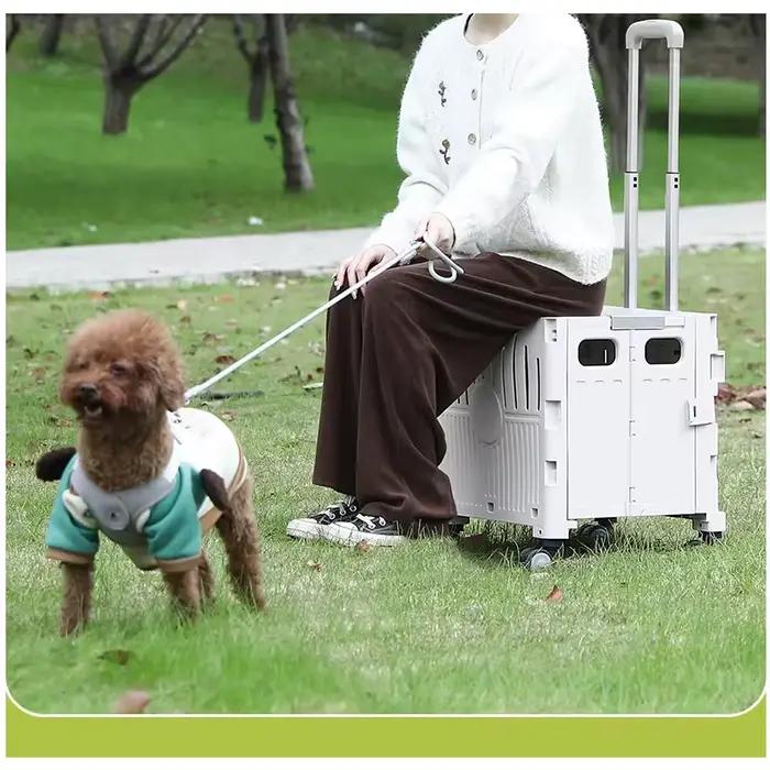 Chariot pour animaux de compagnie léger et pliable pour chiens