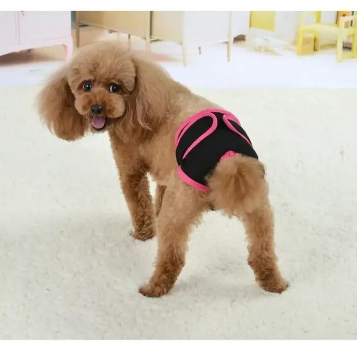 Culottes physiologiques réutilisables pour chiens protectrices pour petites moyennes et grandes tailles printemps été élégantes pour chiens occassions spéciales