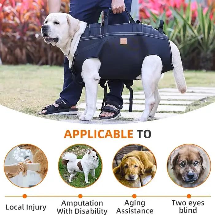 Sac à dos multifonctionnel pour chien