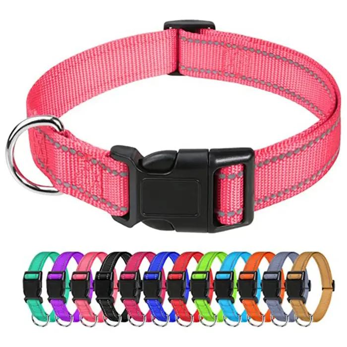 Collier ras du cou pour petit chien