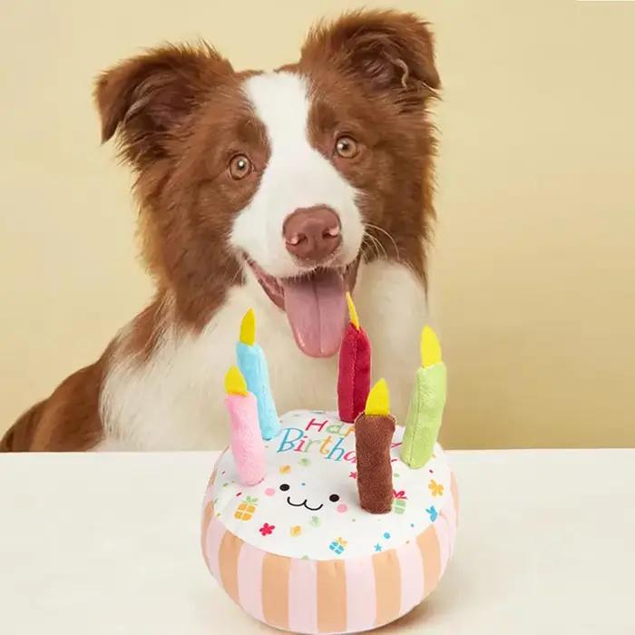 Gâteau d'anniversaire pour chien de compagnie