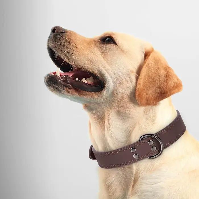 Collier de chien en cuir véritable souple et Durable