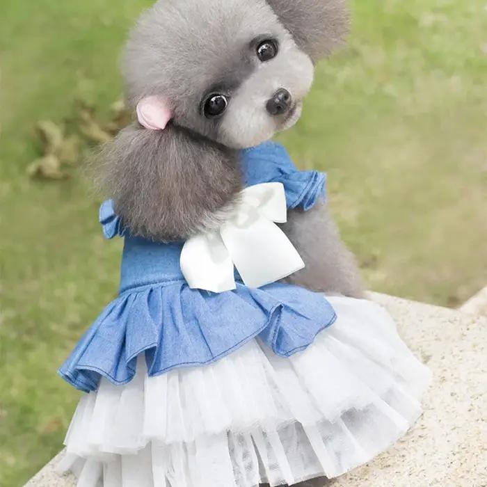 Robe en jean pour petits chiens