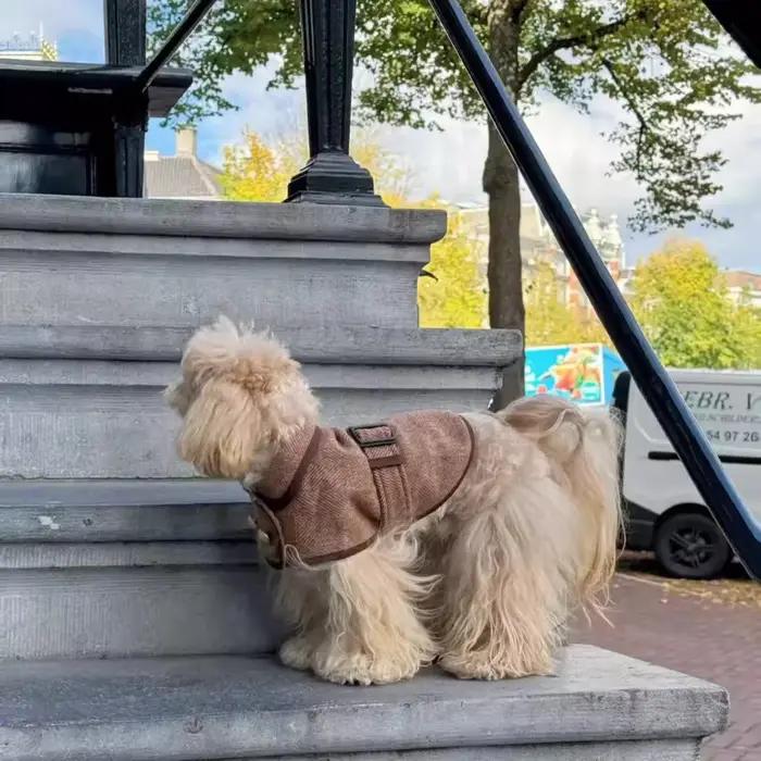 Manteau pour animaux de compagnie marron de style britannique à la mode avec tissu en laine - Vêtements pour chiens