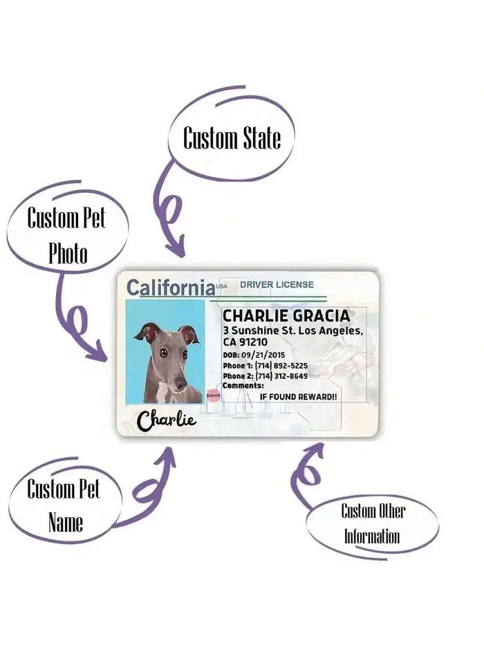 Carte personnalisée pour chien, carte PVC pour animal de compagnie, carte d'identification personnalisée pour animal, cadeau d'anniversaire pour animal, carte de poche idéale pour animal, cadeau pour