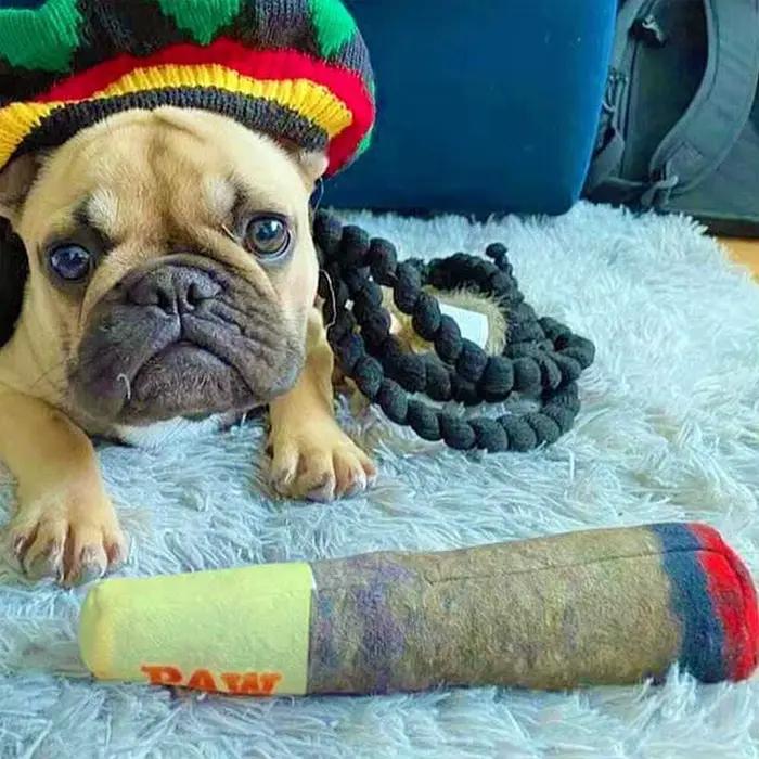 Jouet en forme de cigare pour chiens, peluche grinçante en polaire, blanc ou vert, jouet à mâcher pour chiots et chiens moyens, occasion spéciale pour votre animal de compagnon