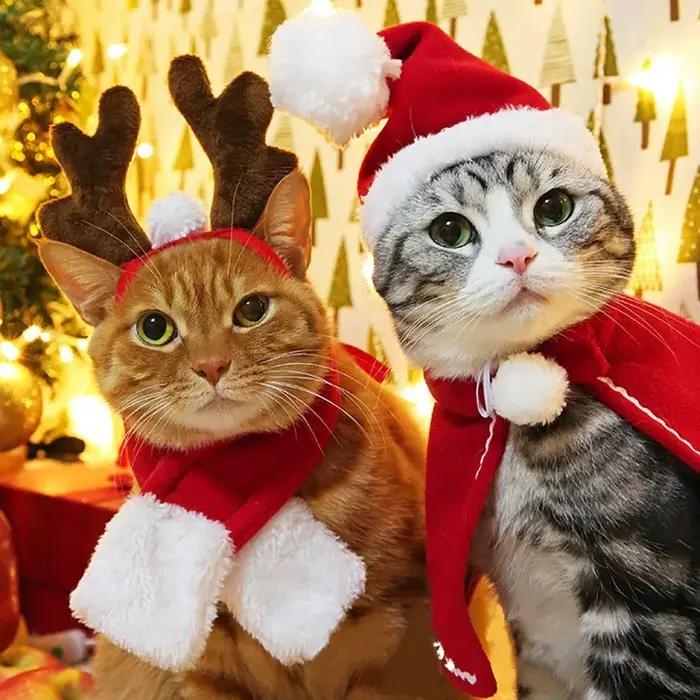 Costume drôle de père Noël pour chiens et chats