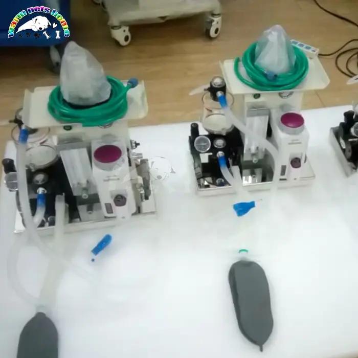 Appareil d'Anesthésie Médicale Portable pour Animaux de Compagnie
