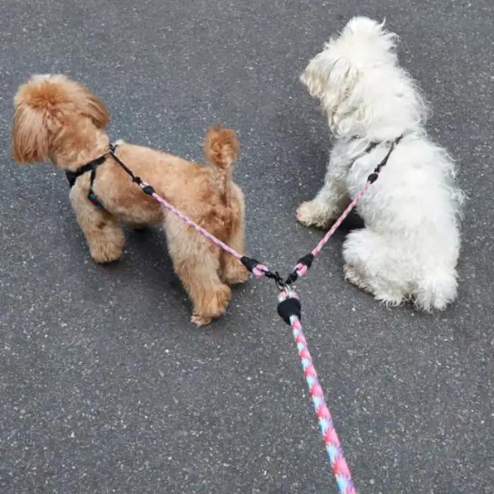 Corde à Double tête pour chien