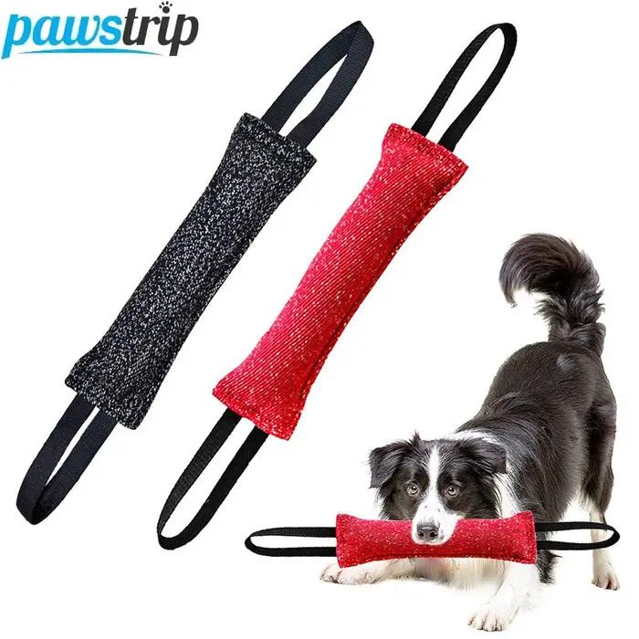Jouets molaire interactifs pour animaux de compagnie