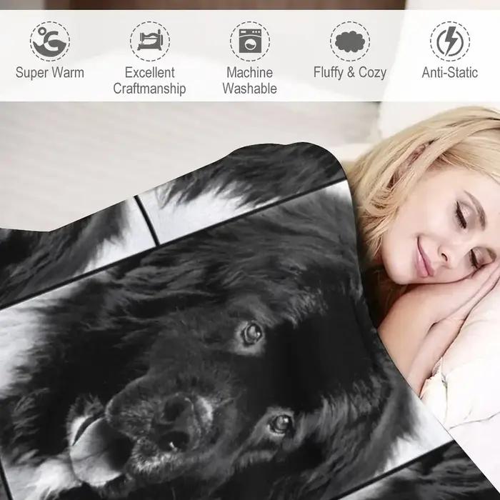 Couverture Raschel en peluche avec portrait de chien Terre Neuve noir et blanc classique pour homme occasions spéciales usage quotidien à la maison hôtel avion sofa