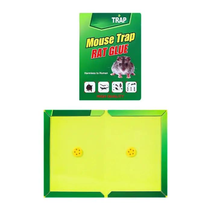 Pièges à souris adhésifs Super puissants