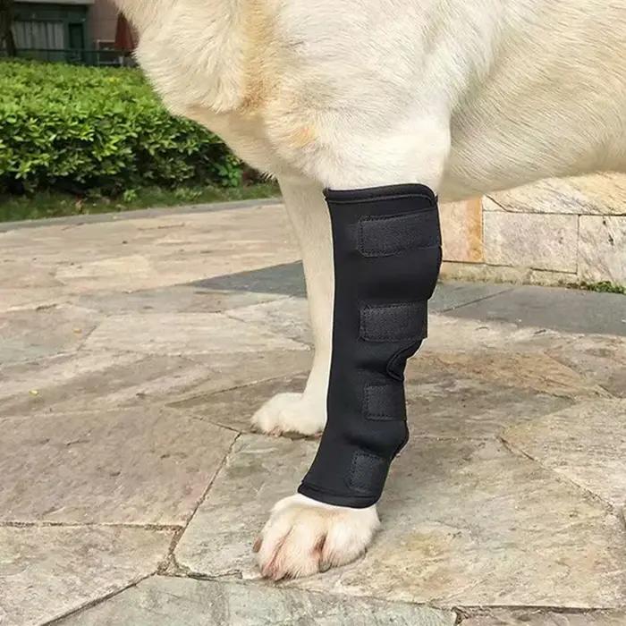 Jambières pour animaux de compagnie