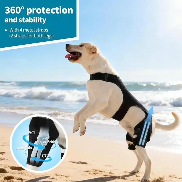 Attelle de jambe pour chien réglable avec 4 stabilisateurs métalliques – Soutien arrière pour la randonnée, l'exercice et les activités de plein air