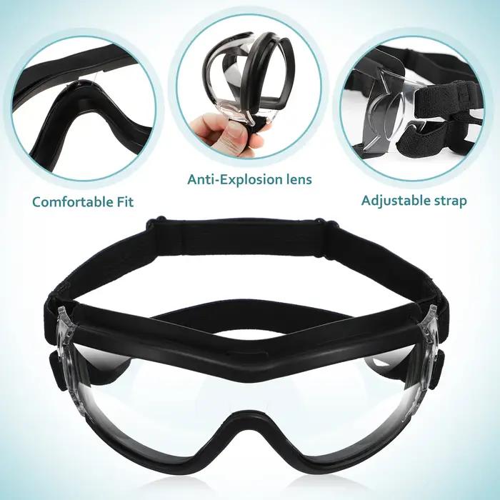 Lunettes d'extérieur pour animaux de compagnie