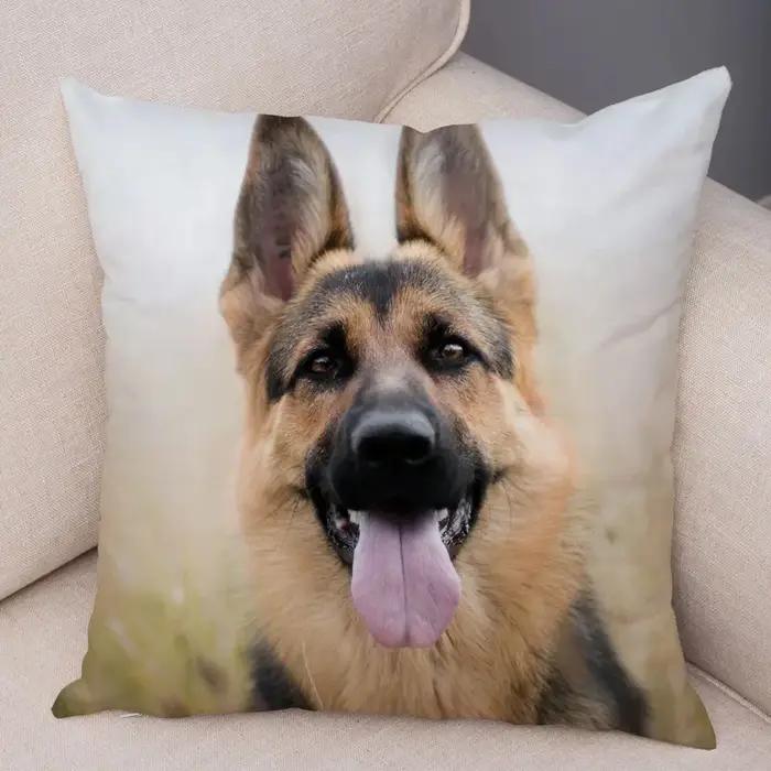 Taie d'oreiller décorative imprimée chien berger