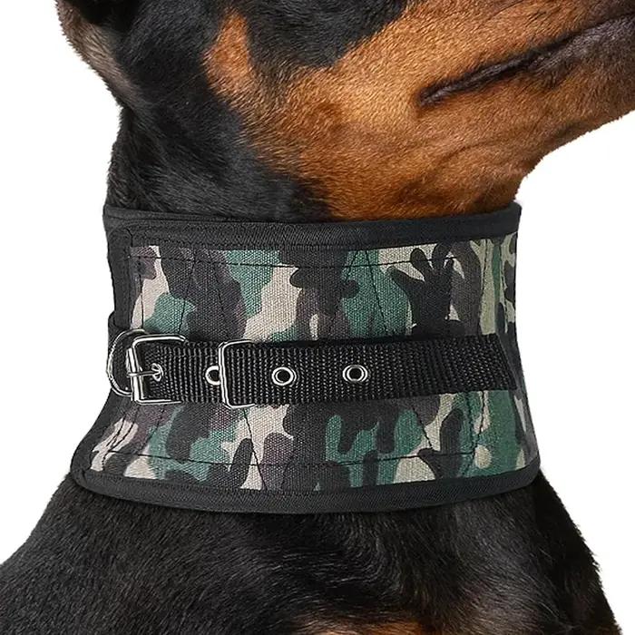 Protège-cou pour chien de chasse JANPET en nylon robuste pour toutes les saisons et activités de plein air