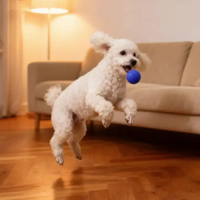 Jouet à mâcher en caoutchouc indestructible pour chiens de petite, moyenne et grande taille, accessoire de jeu et d'hygiène bucco-dentaire pour animaux de compagnie
