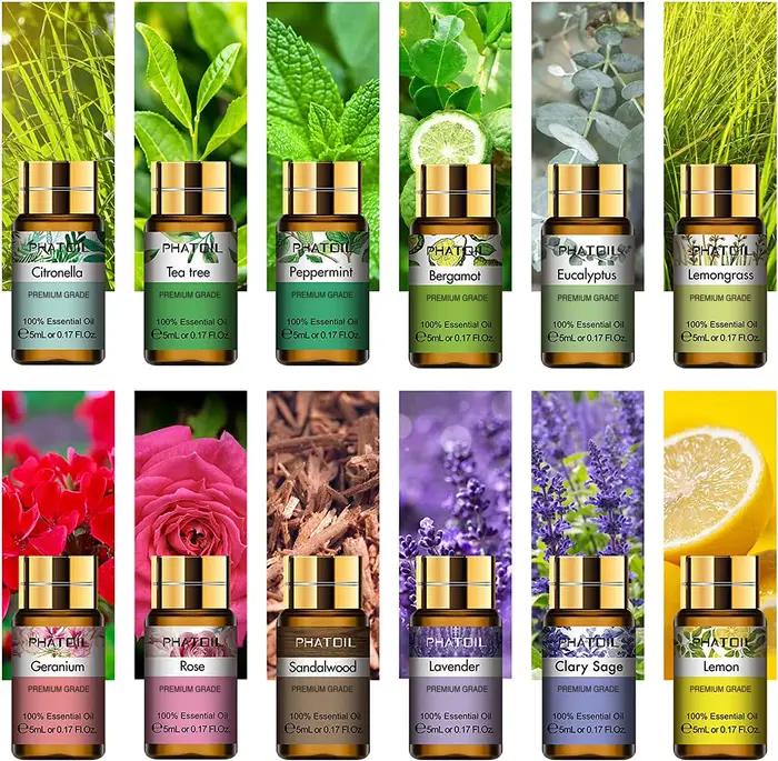 PHATOIL 12 pièces boîte-cadeau huiles essentielles pures pour humidificateurs diffuseur Massage Spa