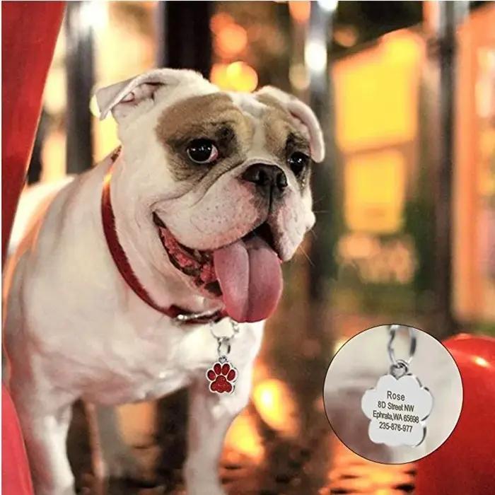 Médaille d'identification gravée en acier inoxydable pour chien et chat