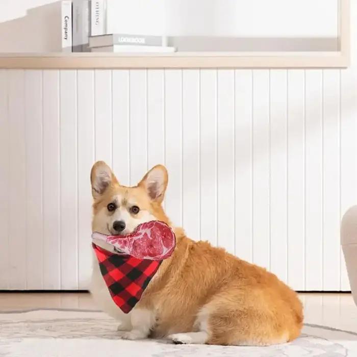 Jouet à mâcher interactif en peluche pour chiens de petite et moyenne taille