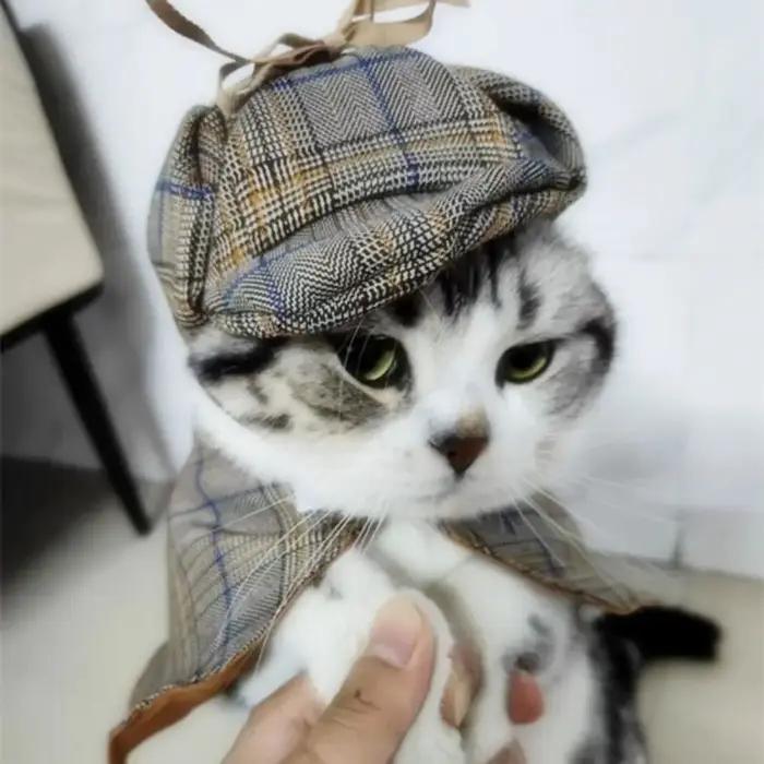 Ensemble de costumes de détective pour animaux de compagnie